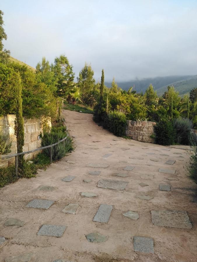 Il Corbezzolo Suite Appartament Castelluzzo Exteriér fotografie
